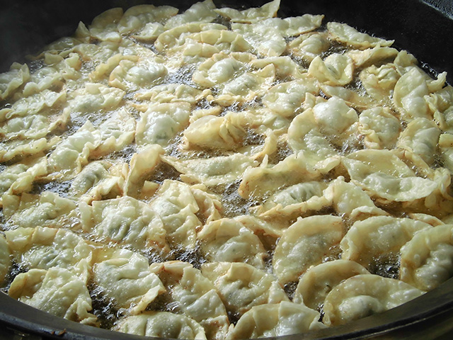 写真:津ぎょうざ