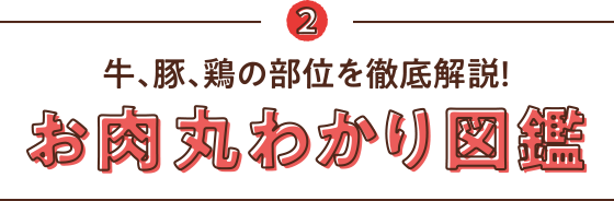2 牛、豚、鶏の部位を徹底解説!お肉丸わかり図鑑