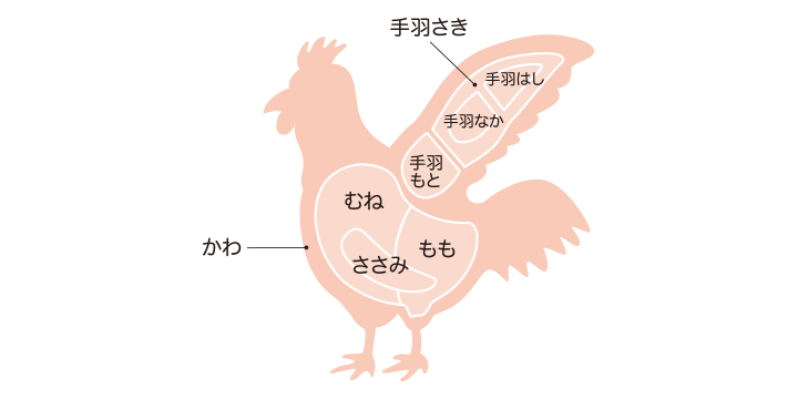 写真:鶏肉の部位