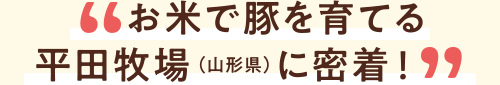お米で豚を育てる平田牧場(山形県)に密着!