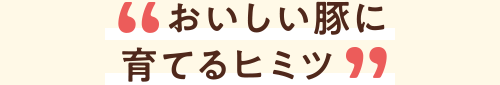 おいしい豚に育てるヒミツ
