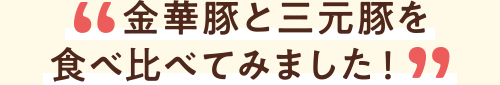 金華豚と三元豚を食べ比べてみました!