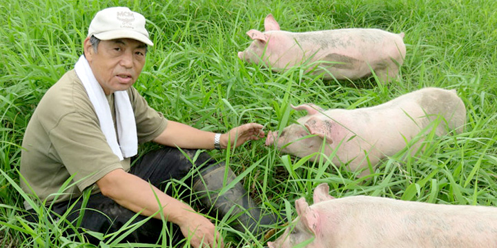 写真:飼育の様子