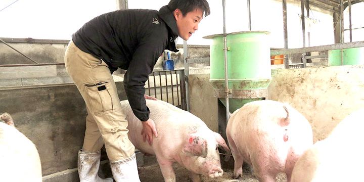 写真:飼育の様子