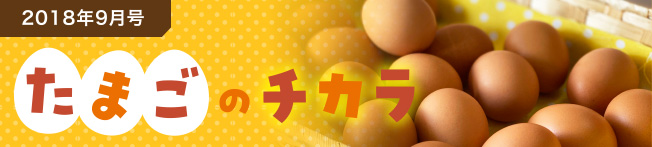 2018年9月号 たまごのチカラ