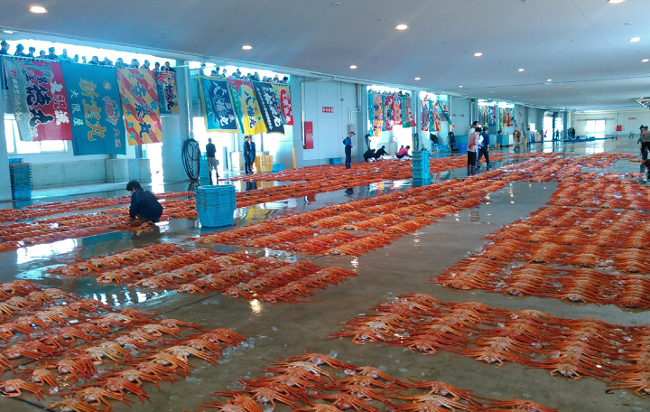 写真：漁港の様子