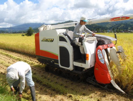 写真:収獲の様子