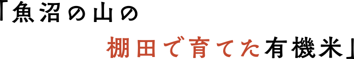 「魚沼の山の棚田で育てた有機米」