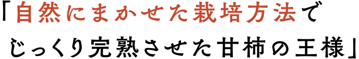 「自然にまかせた栽培方法で じっくり完熟させた甘柿の王様」