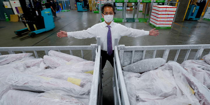 写真：豊洲市場に届いた水産物