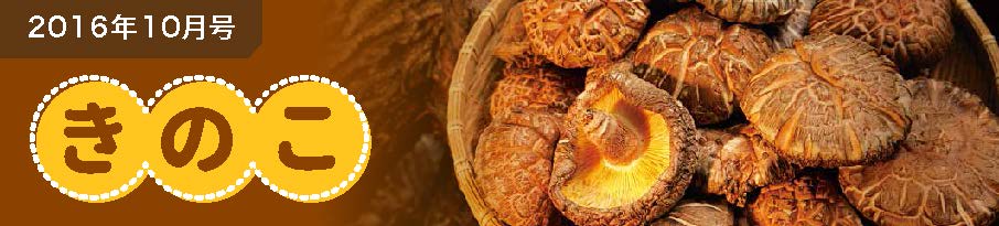 2016年10月号 きのこ