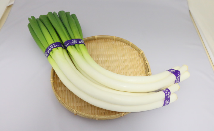 写真：仙台曲がりねぎ