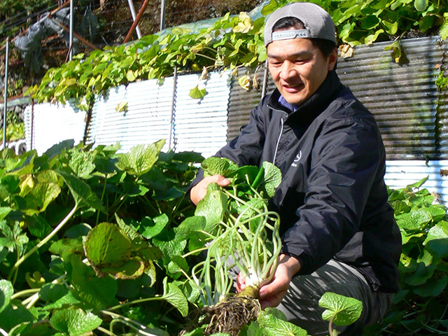 写真:収獲の様子