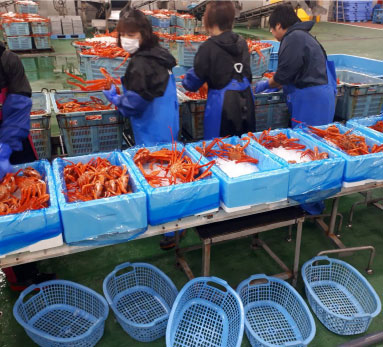 写真:収獲の様子