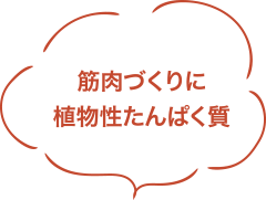 筋肉づくりに植物性タンパク質