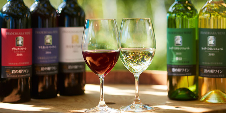 写真：ワインとぶどう