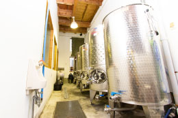 写真:“丁寧な”ワインづくり