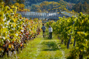 写真:適地を探して全国を訪問