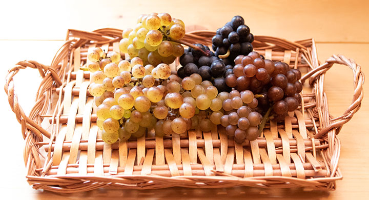写真：ぶどう