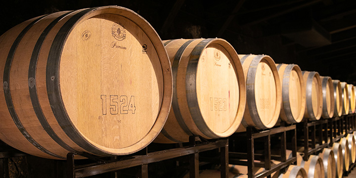 写真：ワイン貯蔵庫