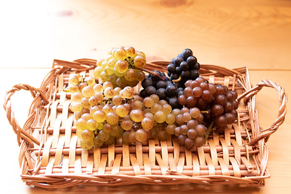 画像:知れば知るほど奥が深い!ワインの豆知識