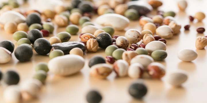 写真：様々な豆