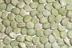 写真：青えんどう豆