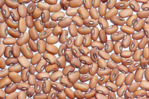 写真：ささげ（褐色）