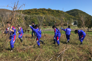 写真：白花豆の収穫体験