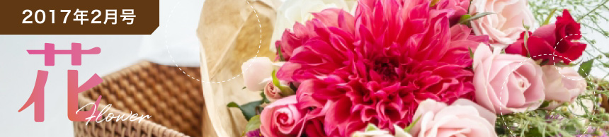 2017年2月号 花