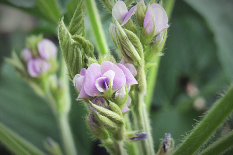 画像:求められる伝統と革新。