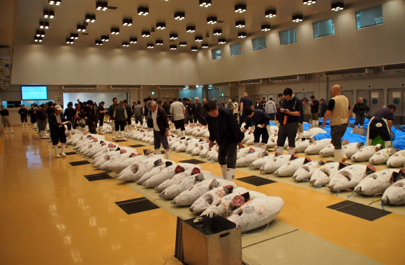 写真：三崎マグロの歴史