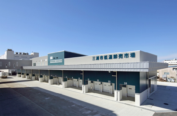 写真：「三崎マグロ」の実力