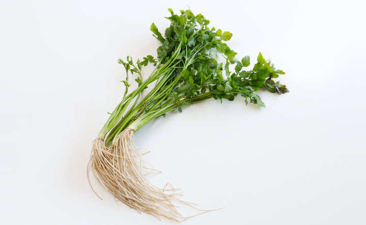 写真：三関せり