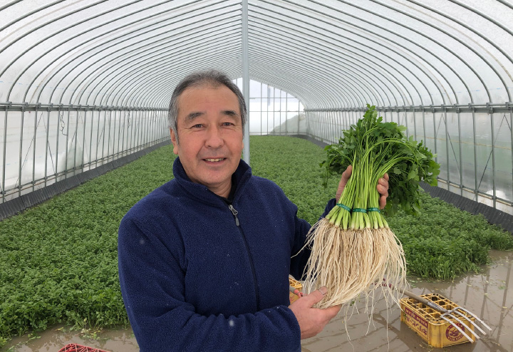 写真：JAこまち三関せり出荷組合 組合長