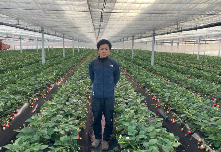 写真：澳原（おきはら）いちご農園