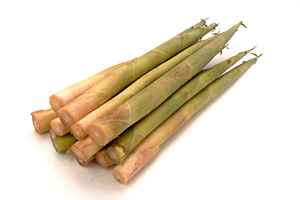 写真:チシマザサ