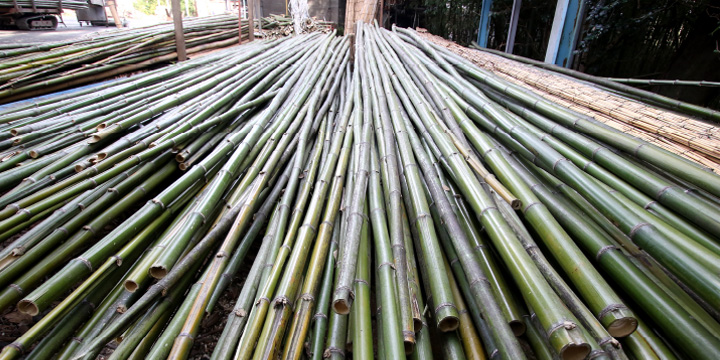写真:良質な竹材と竹林の景観美