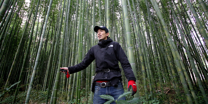 写真:竹林の維持管理