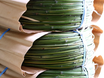 写真：出荷を待つ樽用の「箍」