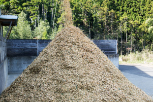 写真:竹のチップ化