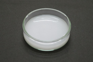 写真:環境に優しい化学薬品で処理して作られたCNF