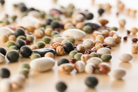 写真:豆のこと、もっと知りたい。