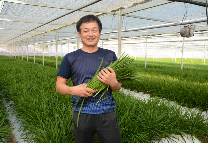 写真：JA高知県香美地区園芸部ニラ部会 副部会長 田村 文男さん