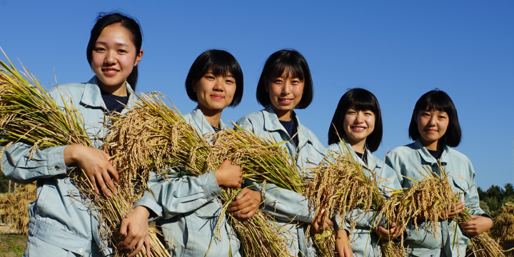 写真：収穫した稲をもつ生徒さん