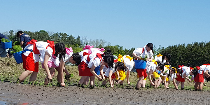 写真：青森県立五所川原農林高等学校の皆さん