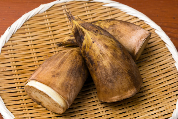 写真:これからが旬!たけのこで「春」を感じよう