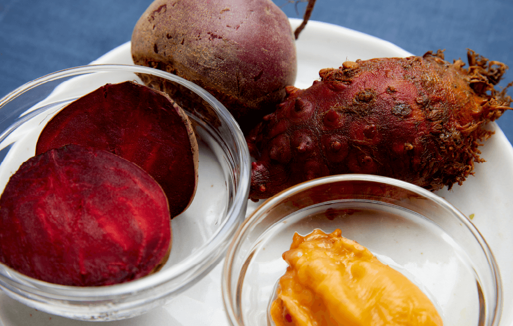 画像：ビーツ と ホヤ