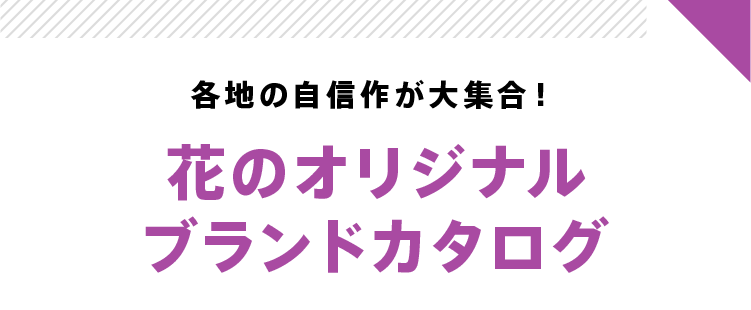 各地の自信作が大集合! 地域別オリジナルブランドカタログ