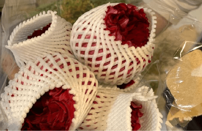 写真：つぼみにネットをかける様子